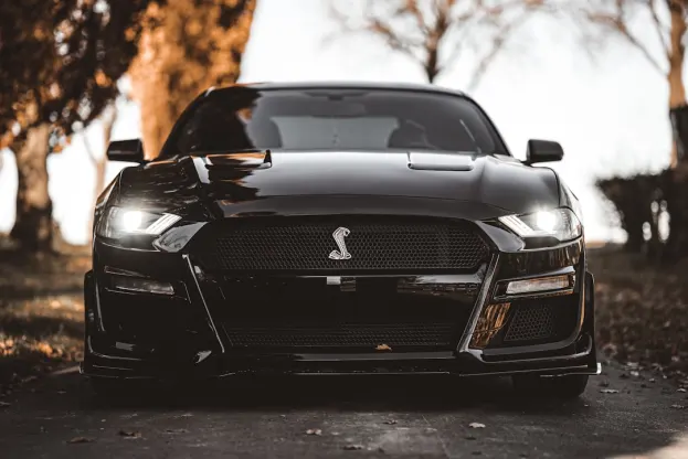 Pure Kazino Android/iOS programa